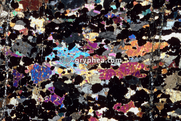 Eclogite LPA x3,5 - gryphea.org